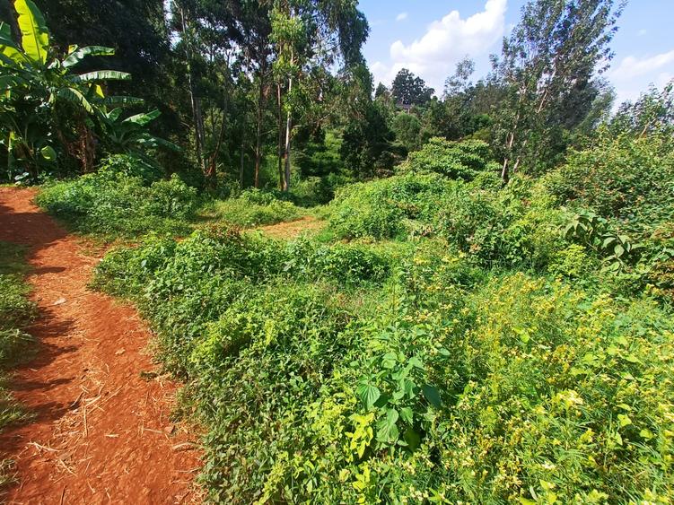 0.83 ac Residential Land in Kitisuru