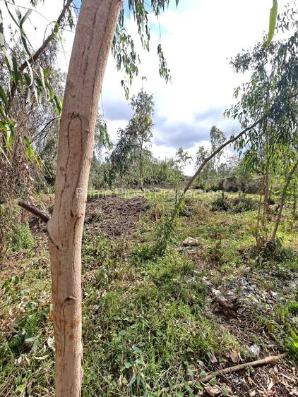 0.5 ac Land in Karen