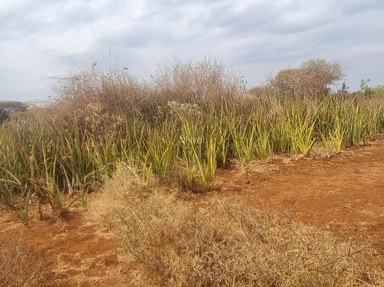 9.7 ac Land at Enkiringiri Area - Umma University