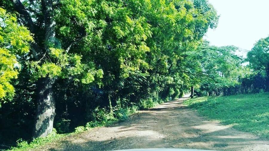 Residential Land in Nyali Area