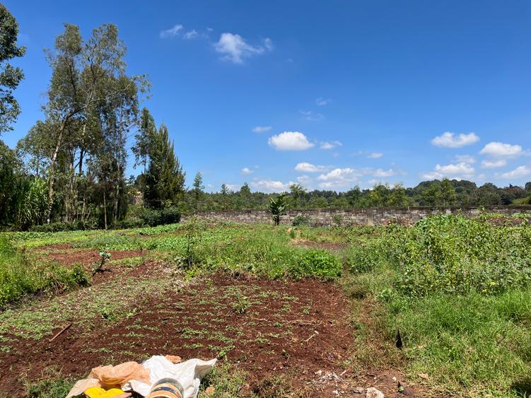 0.5 ac Land in Loresho 0.5 ac Land in Loresho