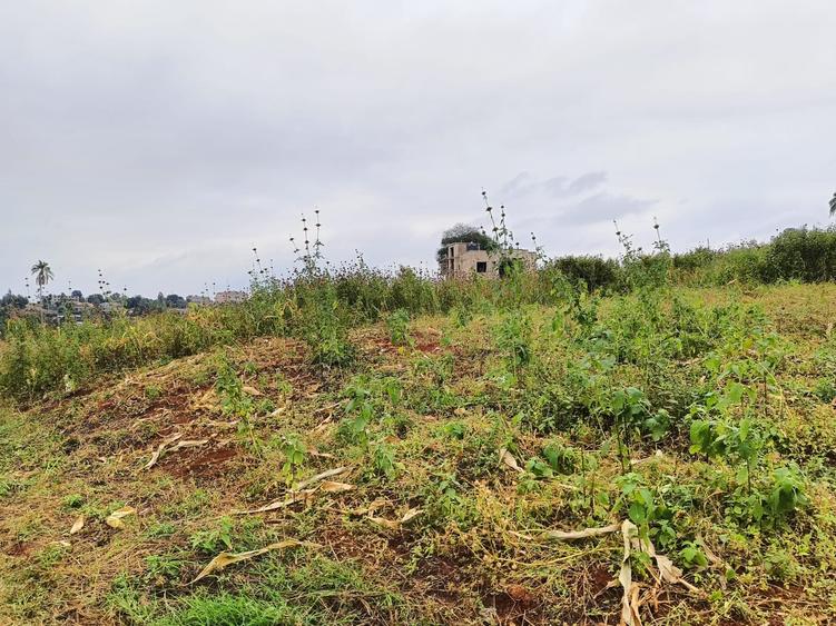 Residential Land at Kiora Estate