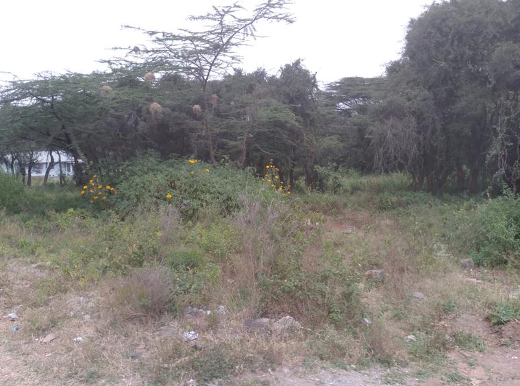 0.25 ac Residential Land at Maasai Lodge Road - Ansicht 3
