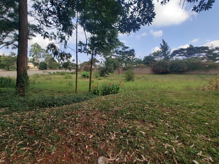 residential land in nyari