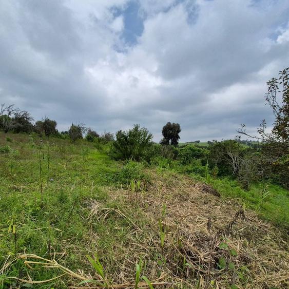 Commercial Land in Tigoni