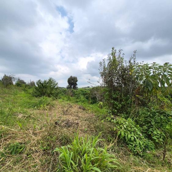 Commercial Land in Tigoni - View 3