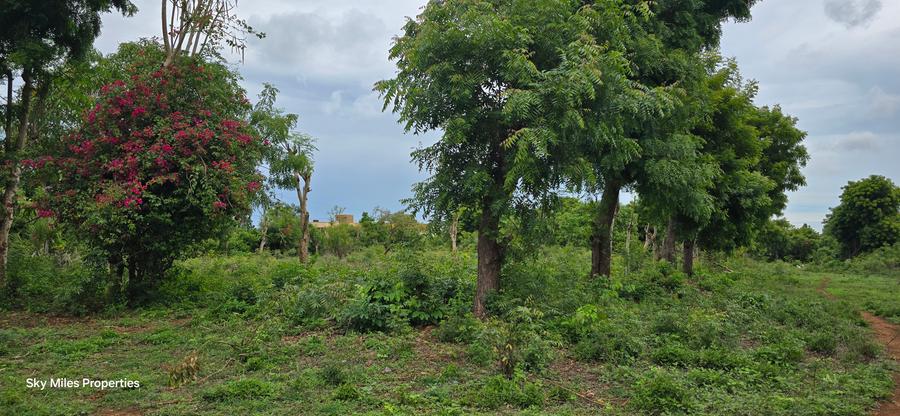4.5 ac Land at Mtwapa - Widok 3