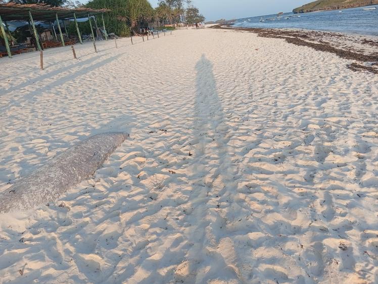 4 ac Land in Watamu - Widok 3