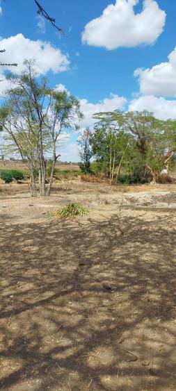 39 ac Land in Malaa