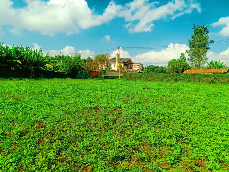 1,000 m² Residential Land at Ondiri