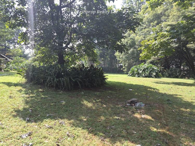 Residential Land in Kitisuru - Widok 4