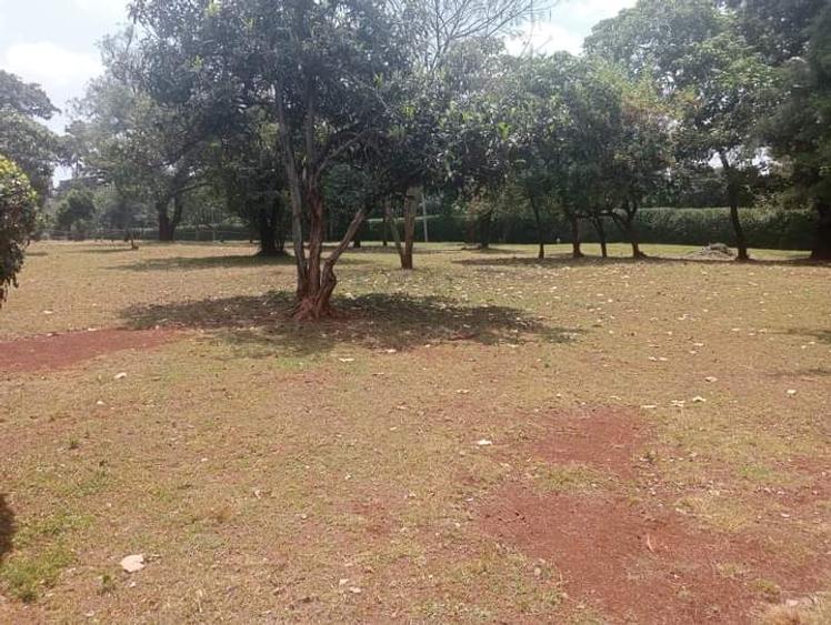 3 ac Land in Karen