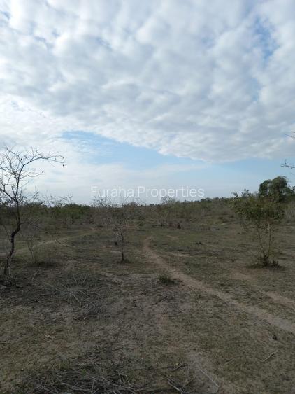 100 ac Commercial Land at Lungalunga
