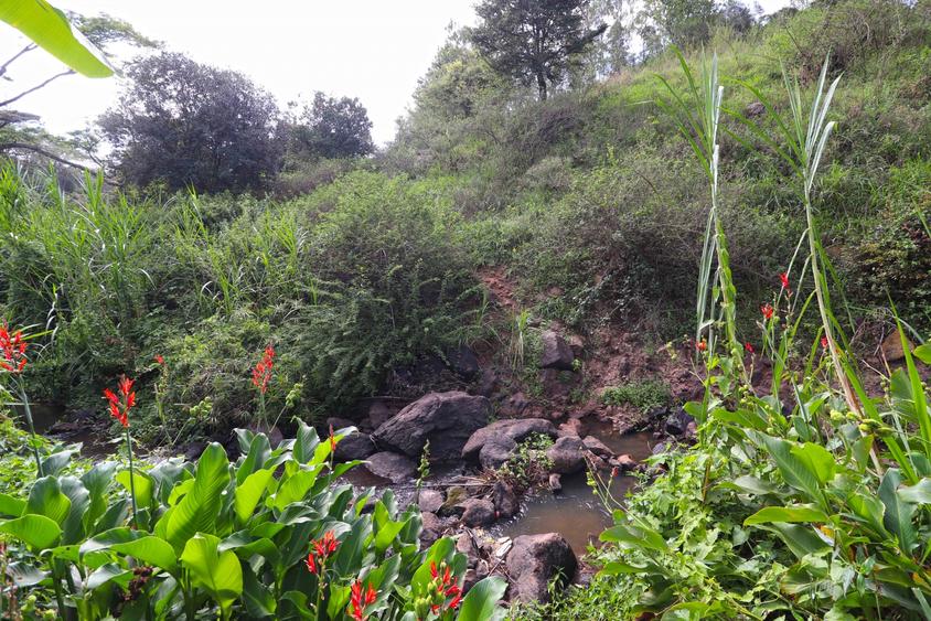 Land at Off Koibotos Road