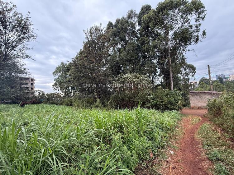 0.5 ac Land in Ruaka