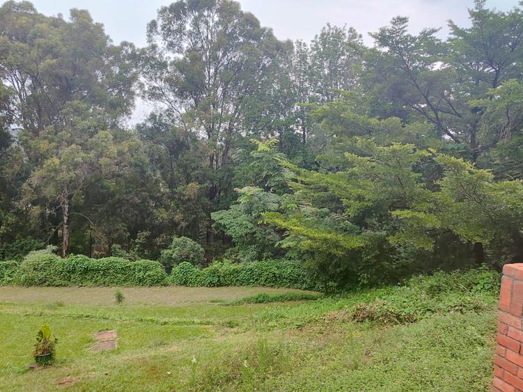 2.8 ac Land at Farasi Lane