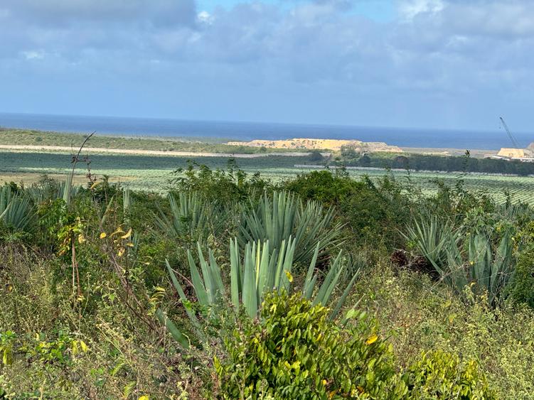 Land in Vipingo Land in Vipingo