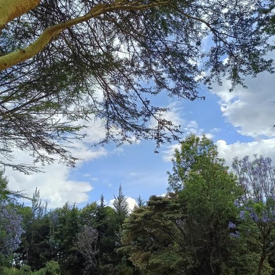 0.5 ac Land at Kabati