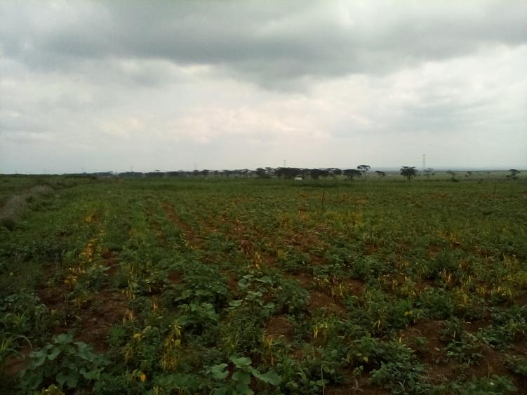 Land at Nanyuki-Rumuruti Rd