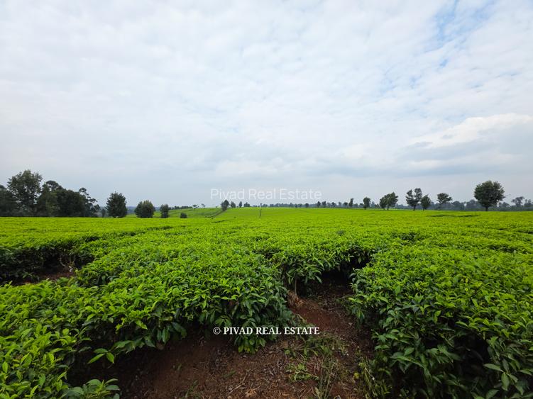 995 ac Land in Tigoni