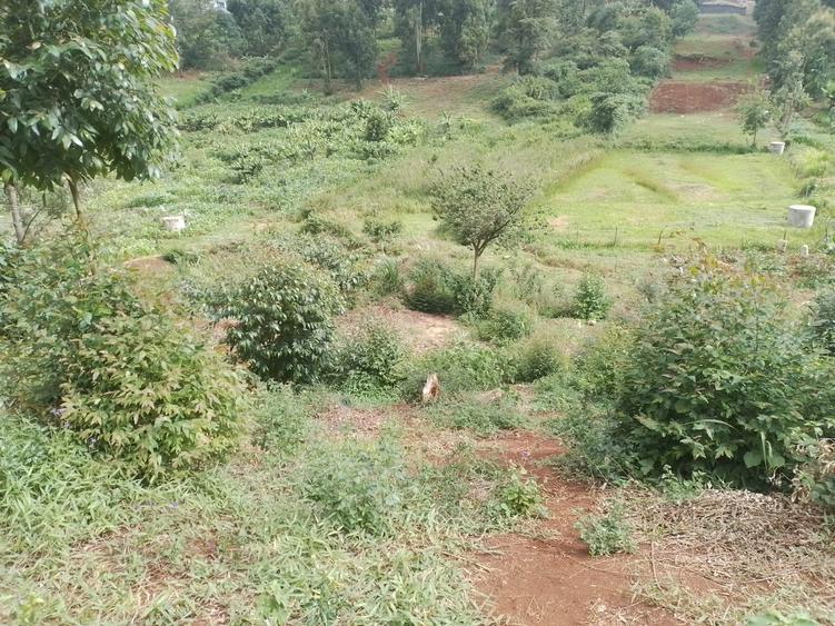 Land at Kigwaru Drive