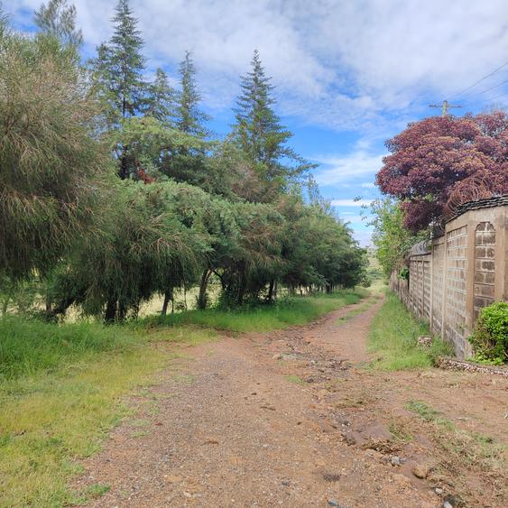 Residential Land at Pipeline Road