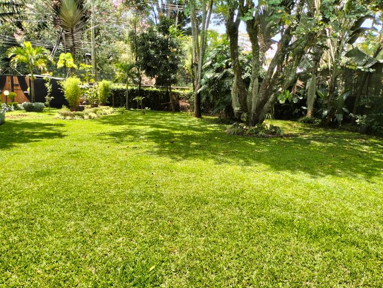 1.3 ac Land at Arguing Kodheck Road 1.3 ac Land at Arguing Kodheck Road
