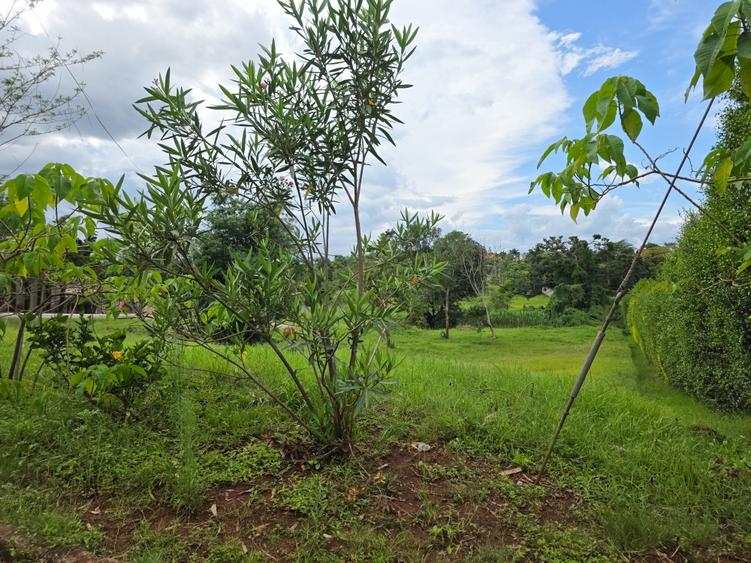 0.5 ac Land at Muthaiga North 0.5 ac Land at Muthaiga North