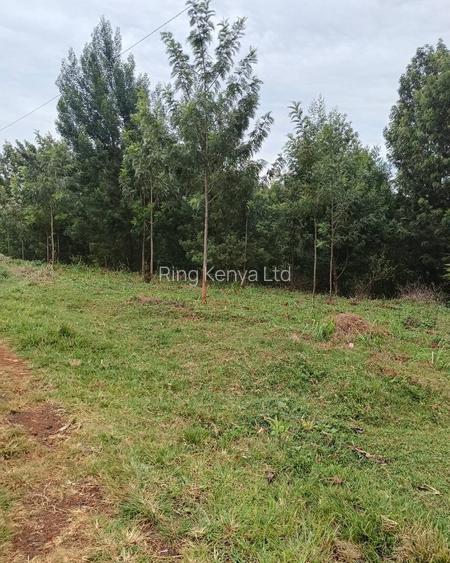 Land in Meru