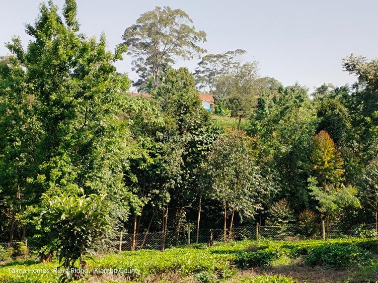 0.75 ac Land at Riara Ridge Area