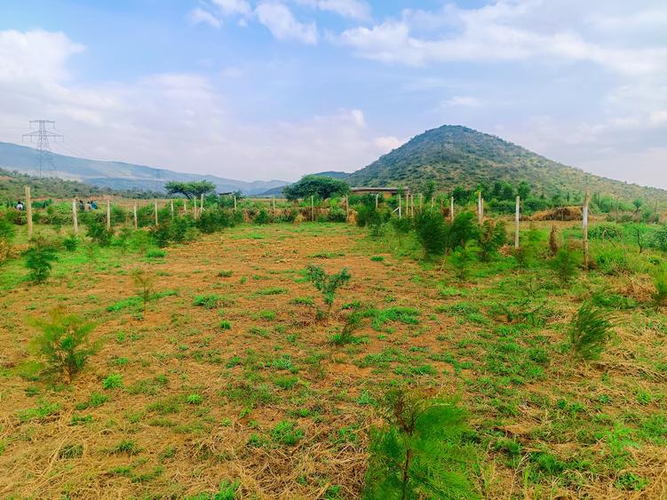 500 m² Residential Land at Ndiuni