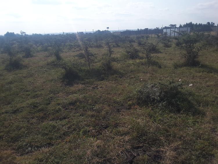 1 ac Land in Ongata Rongai - Ansicht 2
