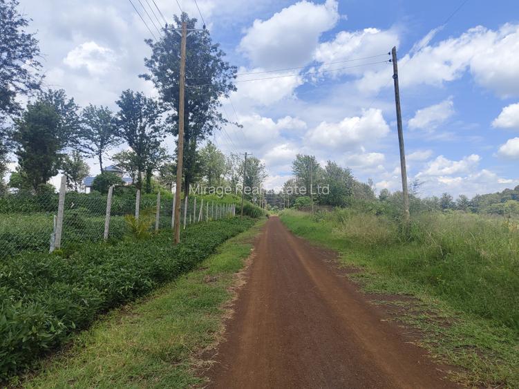 1 ac Commercial Land in Tatu City