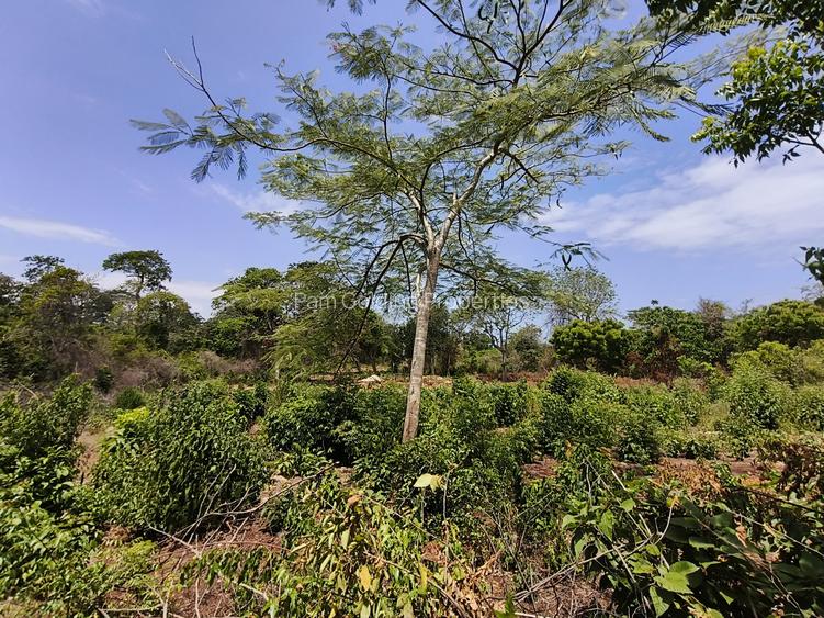 Residential Land at Galu