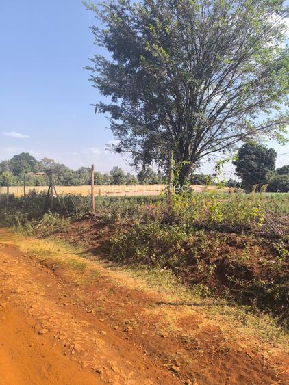 Muhuri Road Corner Plot