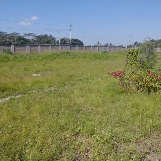 0.2 ac Land in Karen