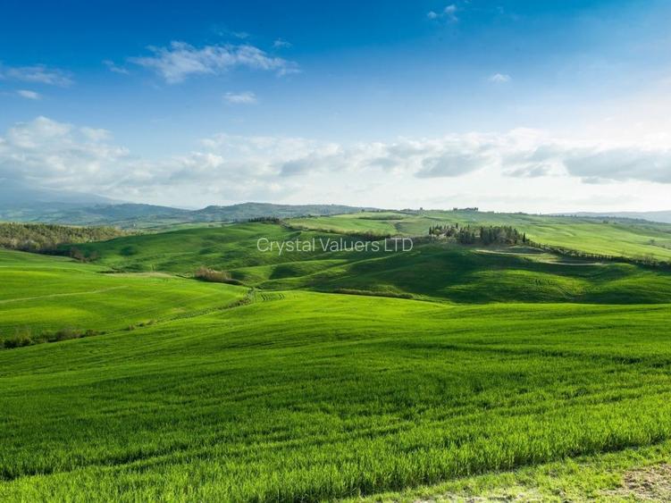 6 ac Land in Garden Estate