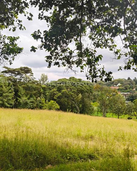 Residential Land at Karen