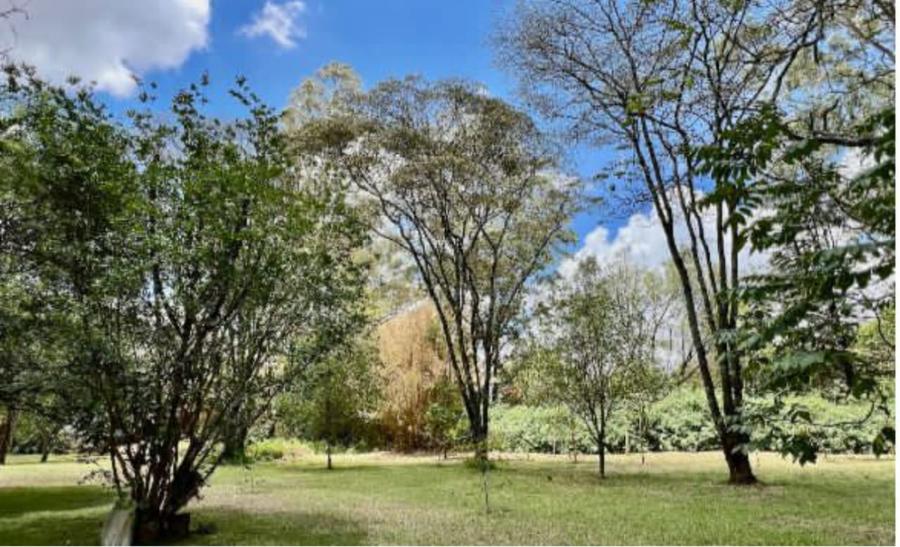 Residential Land at Ndege Road