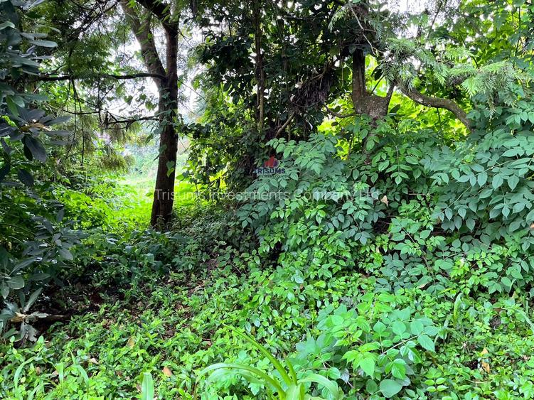 2.4 ac Land at Tigoni