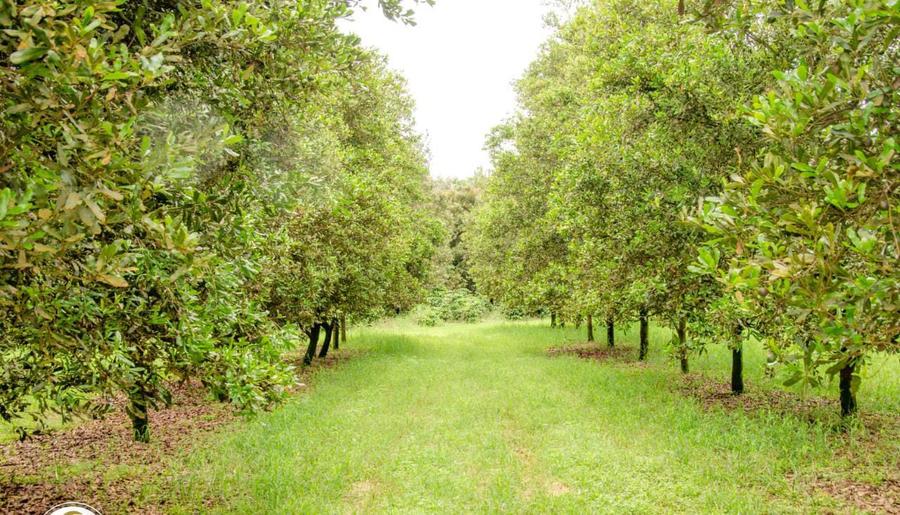 0.045 ha Residential Land at Gatanga Rd