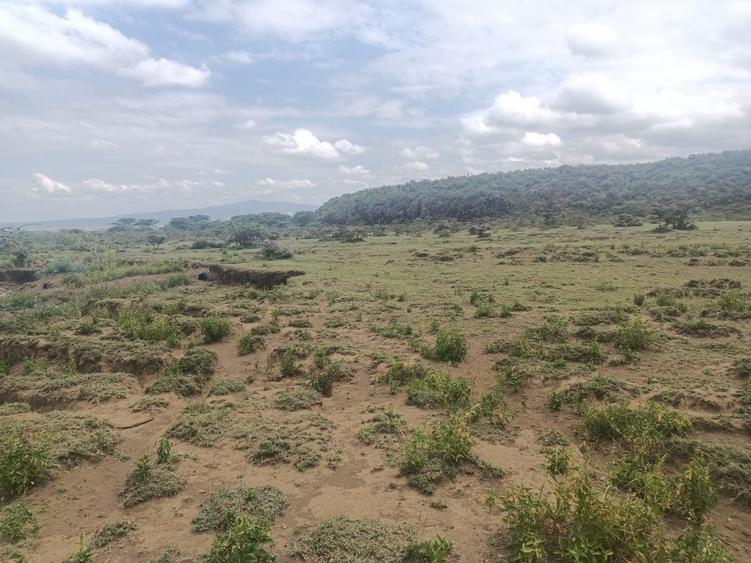 5 ac Land at Suswa