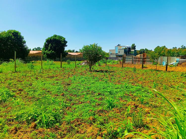 500 m² Residential Land at Kamangu