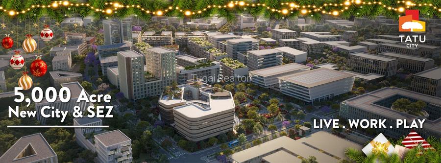 0.25 ac Land at Tatu City