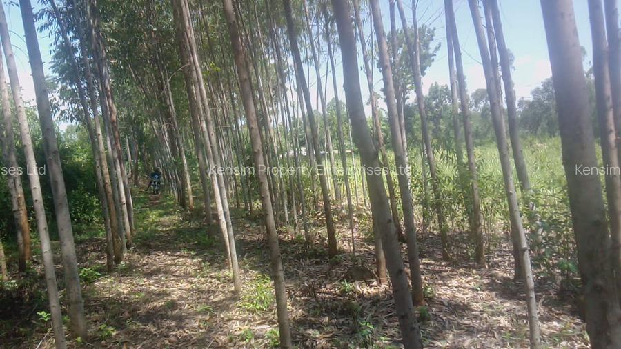 7 ac Land in Migori