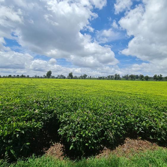 420 ac Land at Kiambu - View 5
