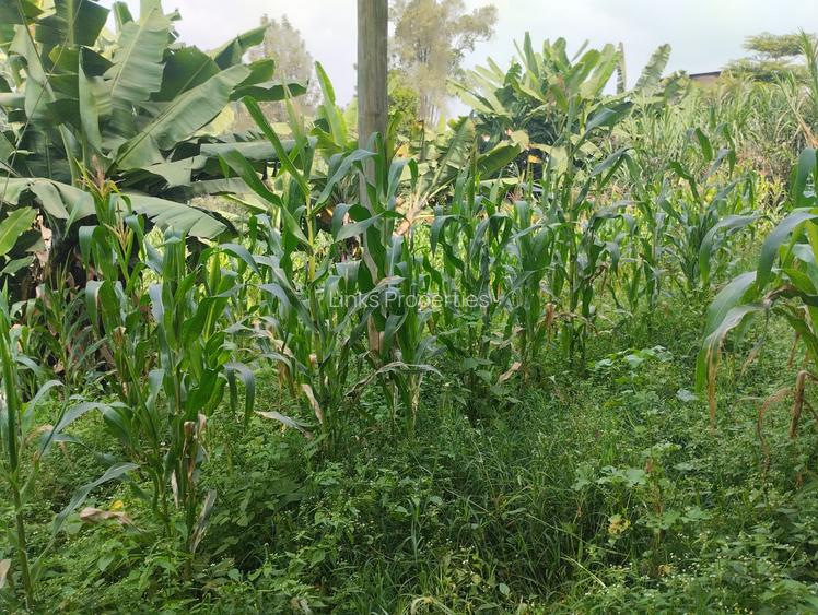Residential Land at Kerarapon Road