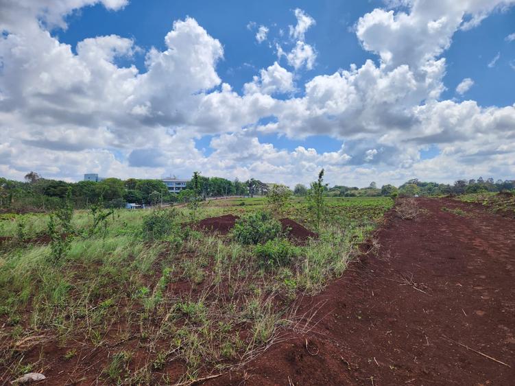 Land in Kitisuru