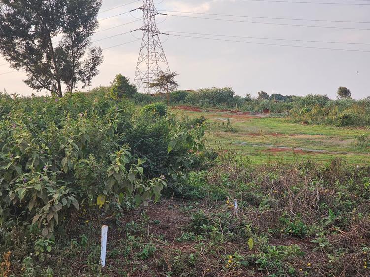 0.25 ac Land at Sigona