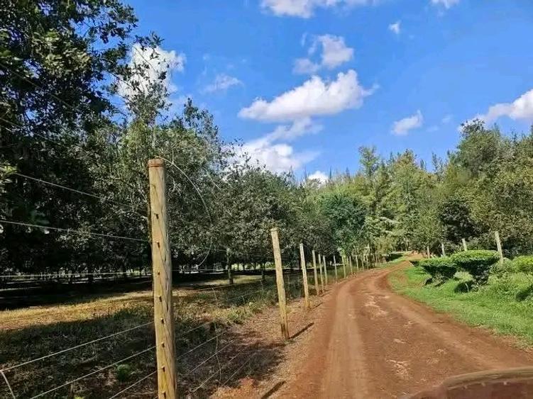 50 ft² Residential Land at Juja 50 ft² Residential Land at Juja